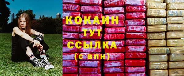 твердый Бронницы