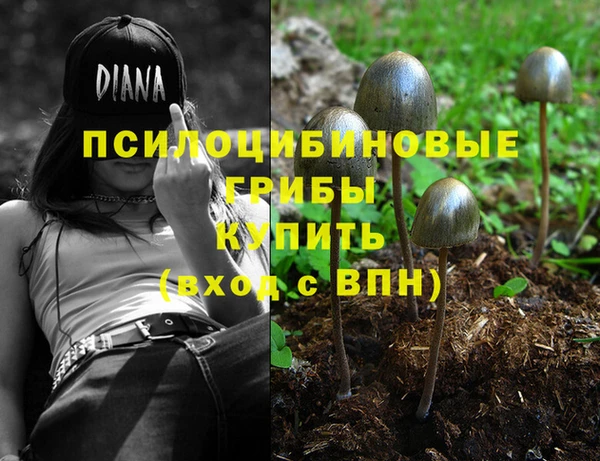 а пвп мука Бородино