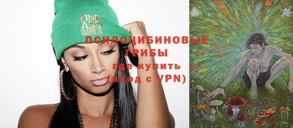 а пвп мука Бородино