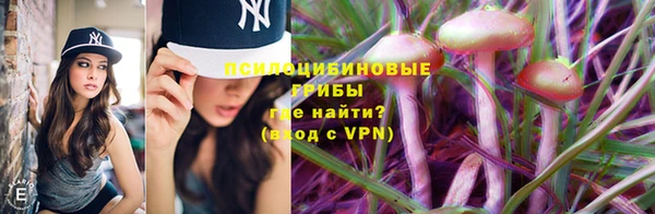 а пвп мука Бородино
